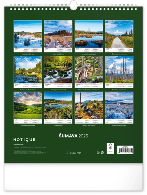 Wall Calendar Bohemian Forest 2025