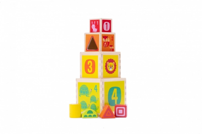 Wooden Blocks Tower Sorter