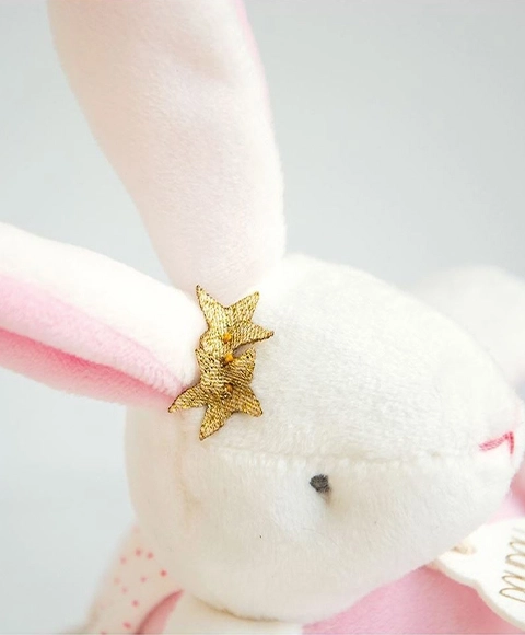 Musical Plush Pink Rabbit