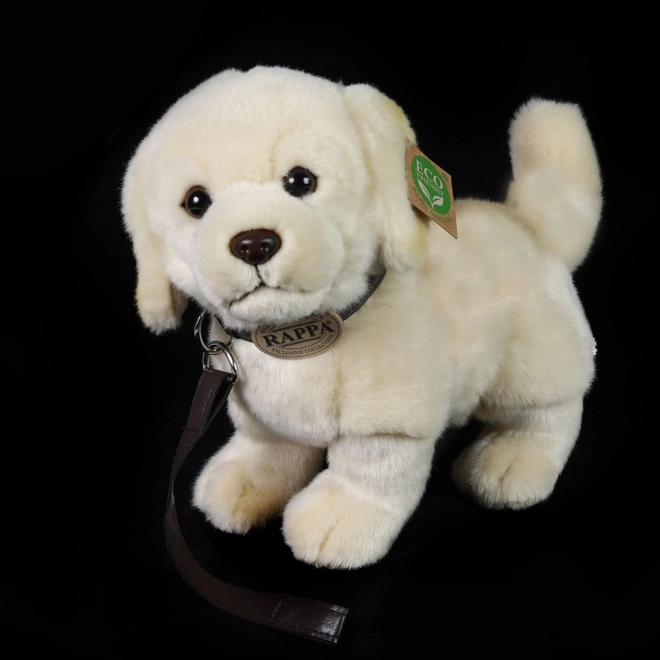 Plush Golden Retriever with Leash Eco-Friendly