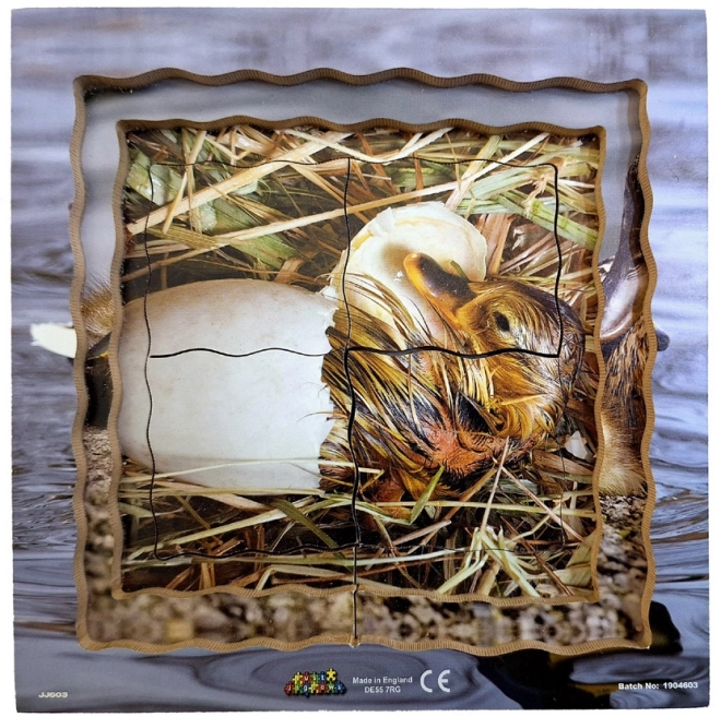 Duck Life Cycle Wooden Layered Puzzle