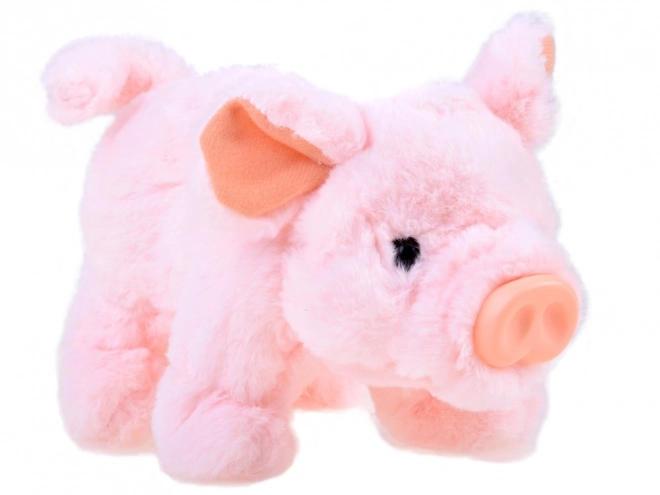 Interactive Plush Pig Friend