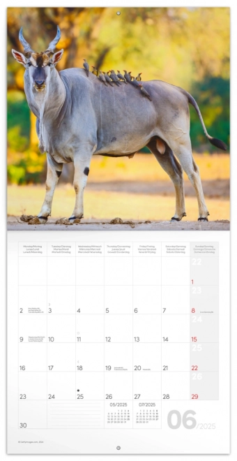 Wild Africa 2025 Wall Calendar