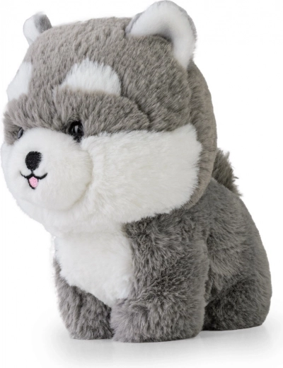 Varnostni izvezeni detajli