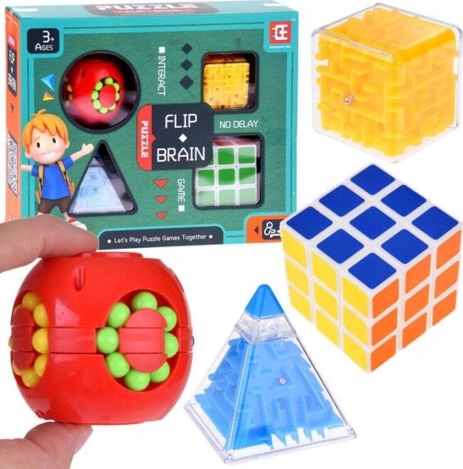 Logic Puzzle Set of 4