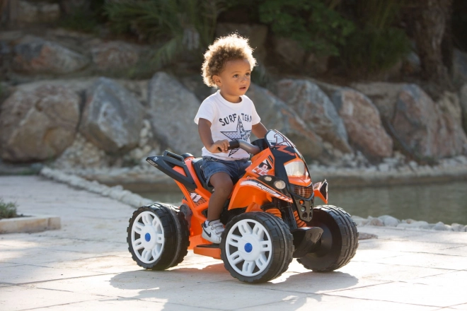 Electric Children's Quad Bike The Beast 6V by Injusa