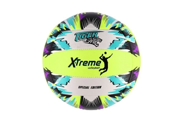 Volleyball ball colorful stitched leather 21cm in bag