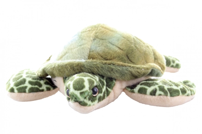 Plush Sea Turtle Toy