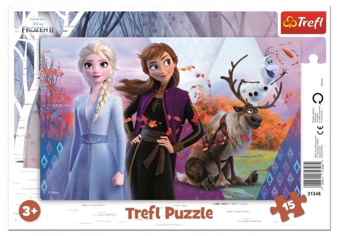 Frozen 2: Anna and Elsa's Magical World Puzzle