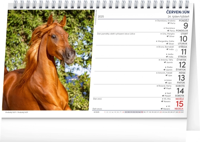 Notique Table Calendar Horses 2025