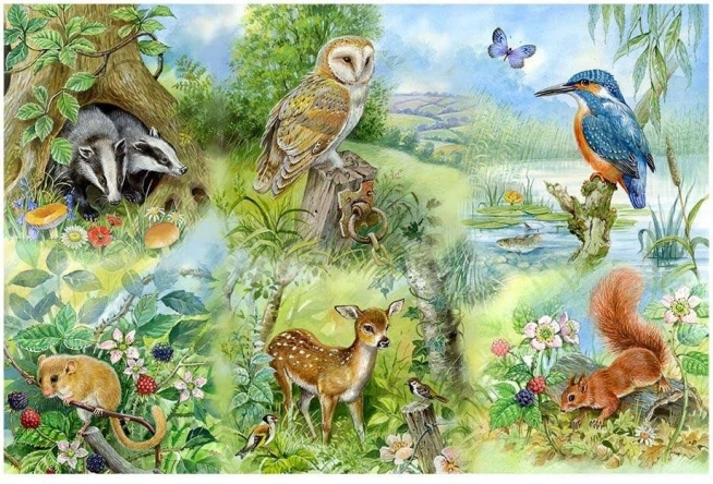 Puzzel Studie van de natuur 250 stukjes