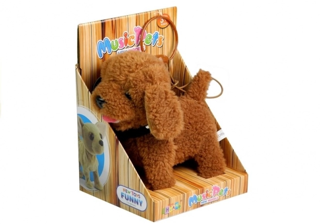 Interactive Brown Poodle Toy on a Leash