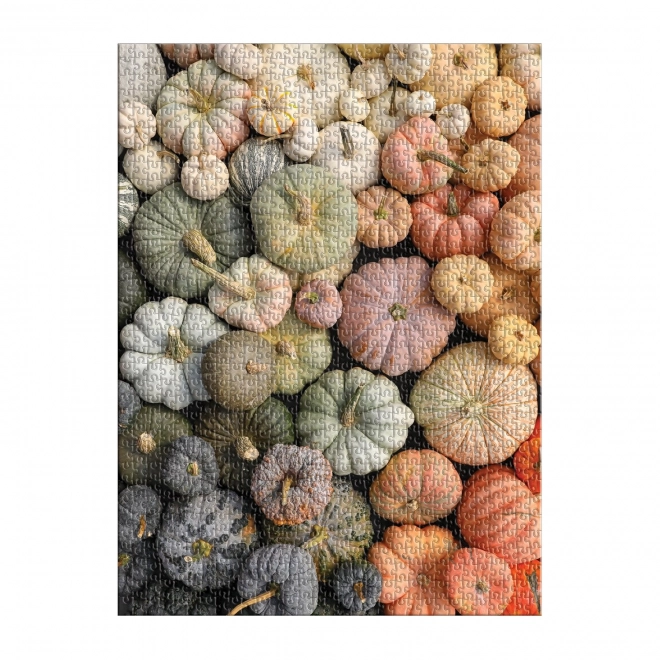 Galison Autumn Decorative Gourds Puzzle