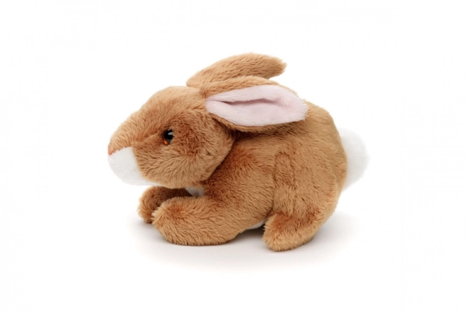 Plush Bunny 15cm