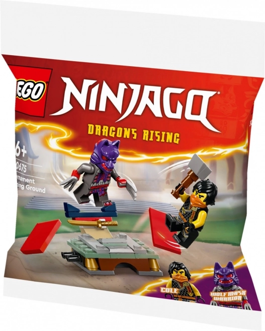 Ninjago Training Tournament Set