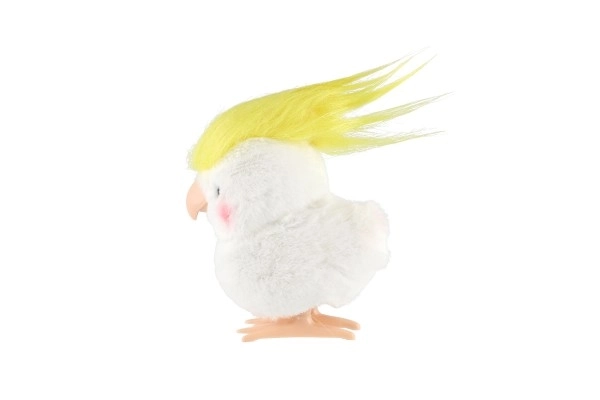 Wind-Up Parrot Toy