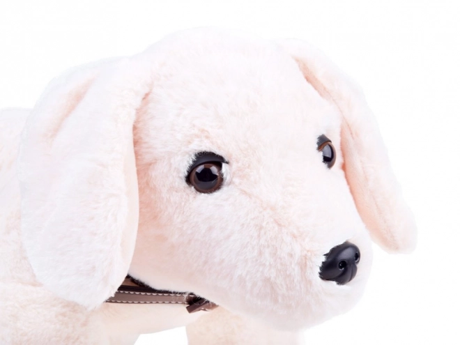 Plush Puppy Soft Toy