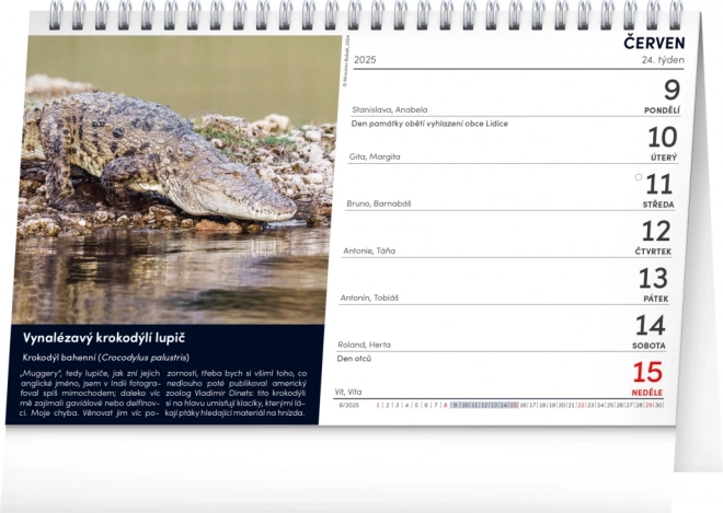 Desk Calendar Interesting Animals 2025