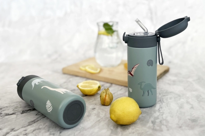 Thermos with Straw and Silicone Handle 350 ml Mountains