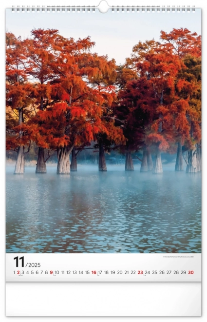 Wall Calendar Trees 2025