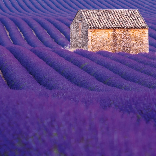 Koledar z opombami Provence 2026