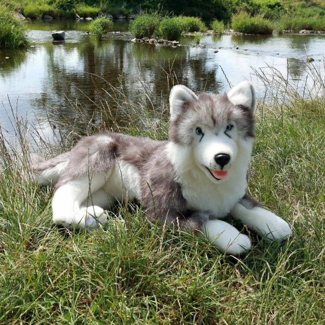 Plush Husky Dog 60 cm Eco-Friendly