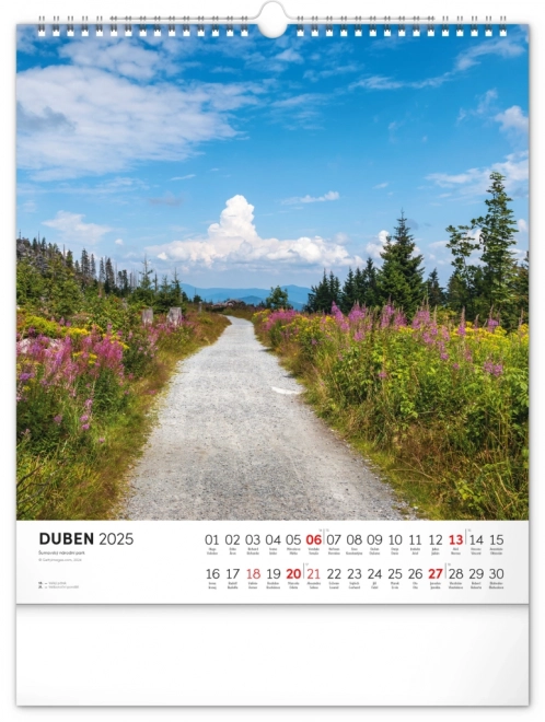 Wall Calendar Bohemian Forest 2025