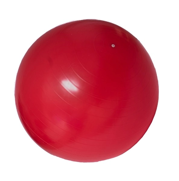 Rehabilitative Relaxation Gym Ball