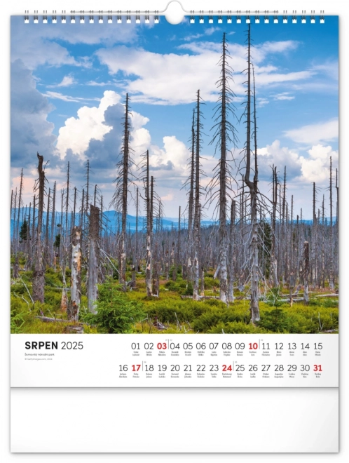 Wall Calendar Bohemian Forest 2025