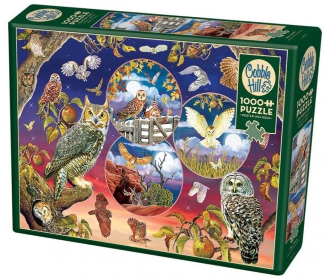 Sova Magic Puzzle by Cobble Hill