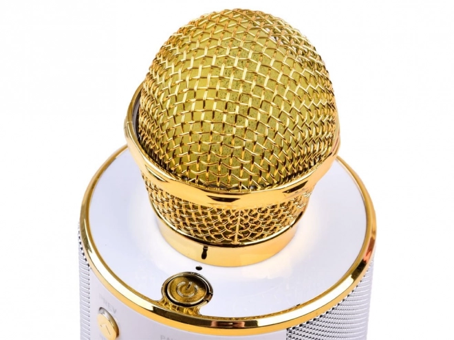 Wireless Karaoke Microphone Speaker – Gold