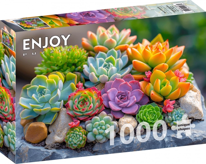 Puzzle Succulentes 1000 pièces