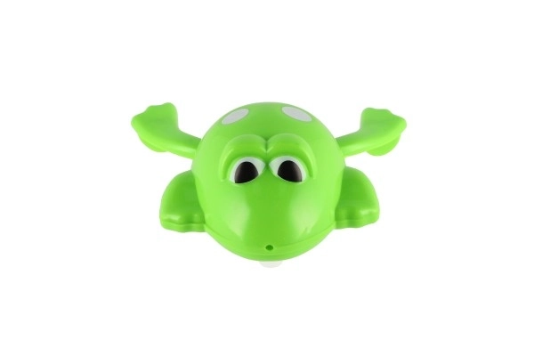 Wind-up Water Frog Toy