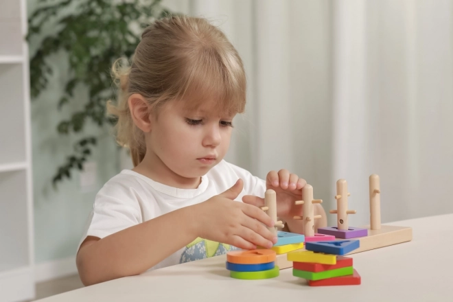 Wooden Shape Puzzle for Kids