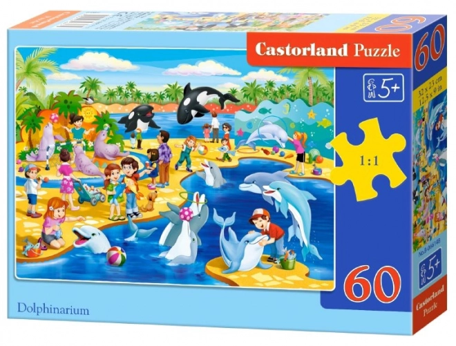 Colorful Dolphinarium Puzzle for Kids