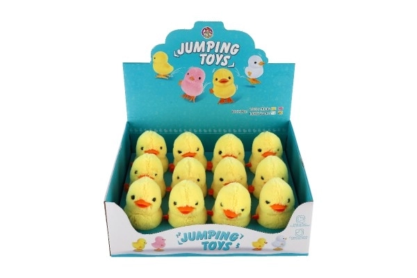 Wind-Up Duck Toy Set