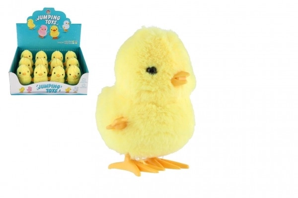 Wind-Up Chick Toy