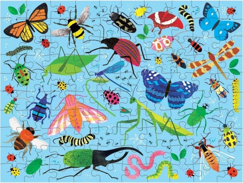 Educational illustrations full of detail