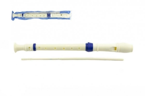 Plastic Flute with Cleaner in Case