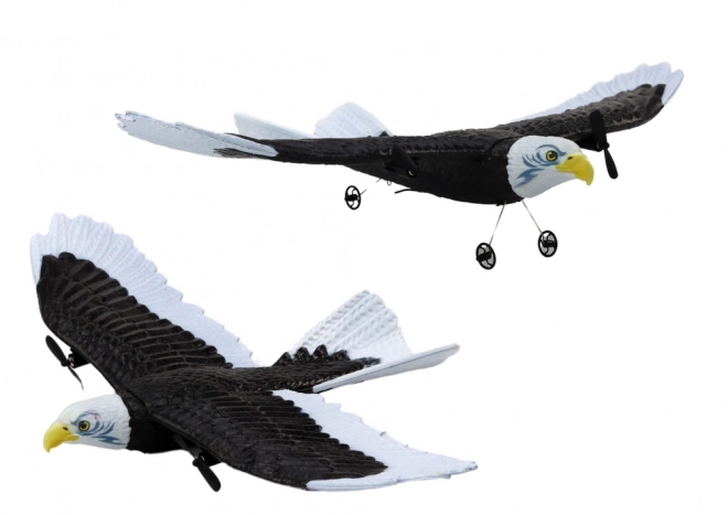 Remote Controlled Eagle Plane