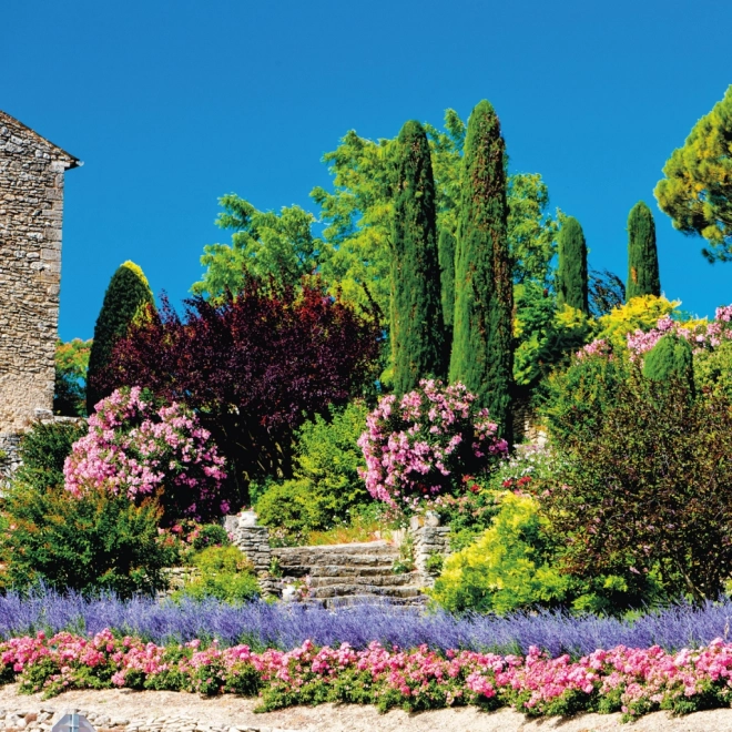 Gardens Wall Calendar 2025