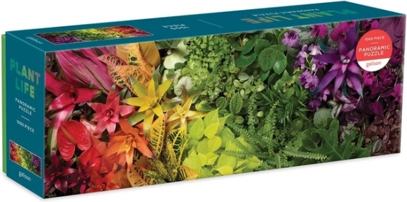 Design riche en couleurs