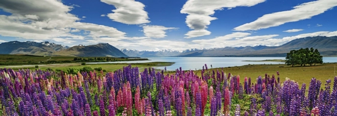 Panoramic Puzzle Lake Tekapo New Zealand