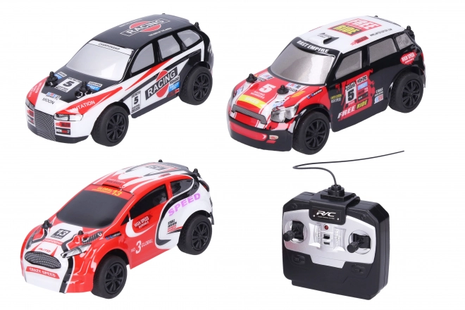 Remote Controlled RC Rally Car