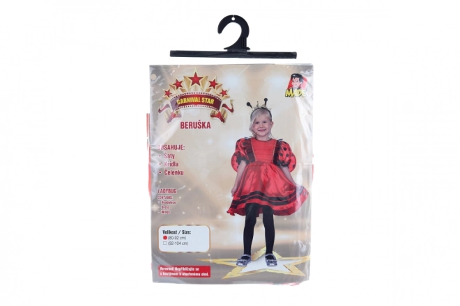 Ladybug Carnival Costume