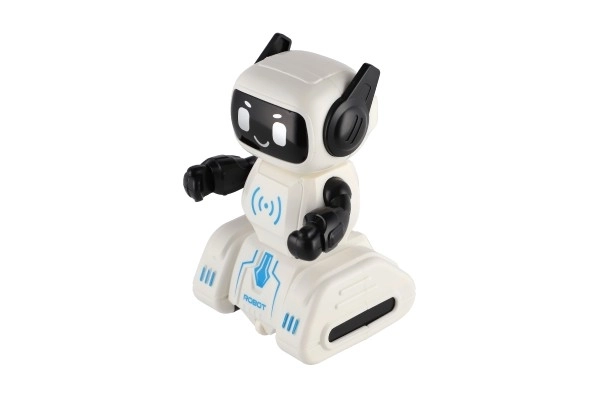 Wind-up Robot Toy