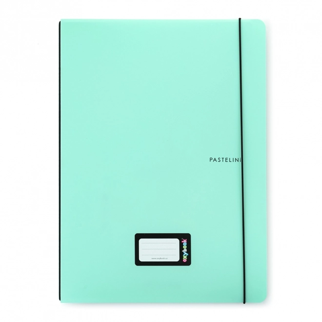 Pastelini A4 Notebook with Replaceable Liner