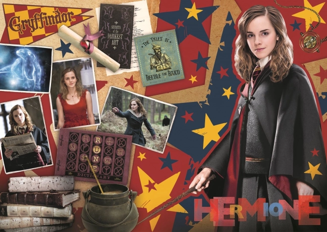 Trefl Puzzle Harry Potter: Ron, Hermione and Harry Set