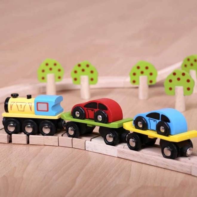 Bigjigs Rail Freight Train with Cars and Tracks