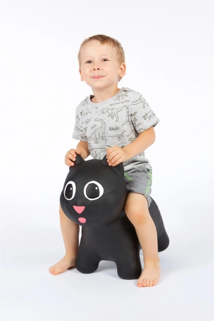 Bouncing Cat Black Toy